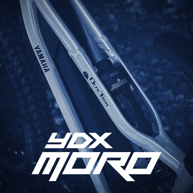 Banner Odoo Image
